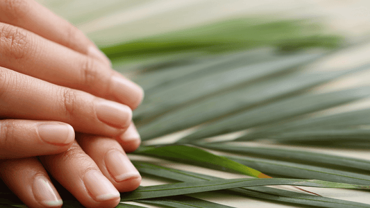 Mains de femmes avec ongles naturels posés sur des feuilles