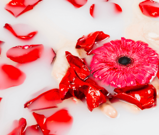 Pétales de rose et fleurs dans une eau couleur blanc laiteux pour représenter la collection d'ongles adhésifs réutilisables rouge