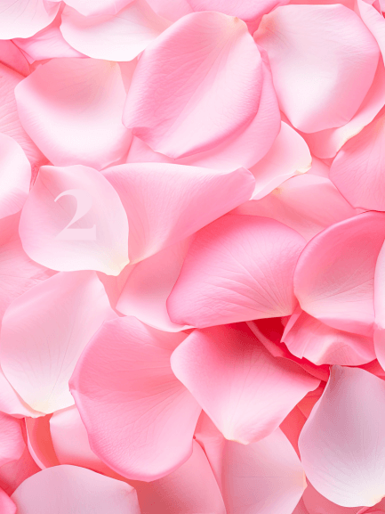 Image de pleins de pétales de rose de couleur rose